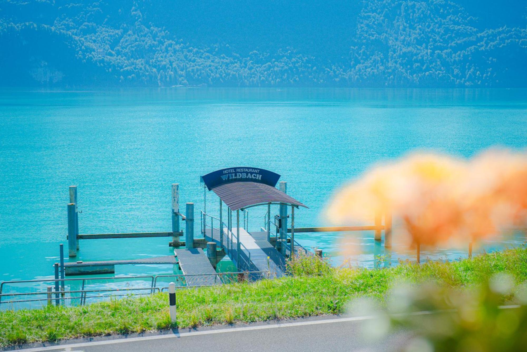 Hotel Wildbach Brienz Brienz  Esterno foto